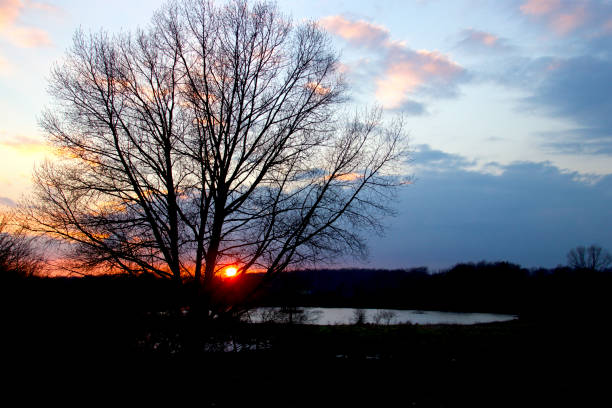 istock Sunset at the small watering hole 1892975692