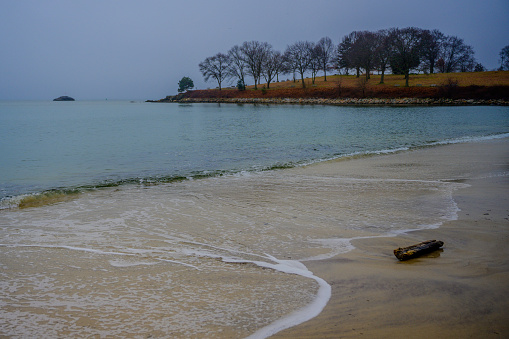 Niantic Beach Seascape with gentle waves rolling in on the sand with a driftwood at McCook Point Park in East Lyme in Connecticut, United States