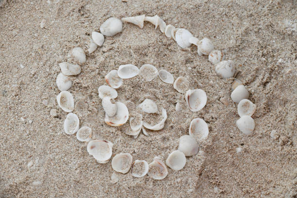 Sand spiral isolated on white