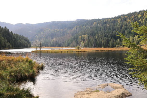istock Beautiful autumn day in the Bavarian Forest 1893014894