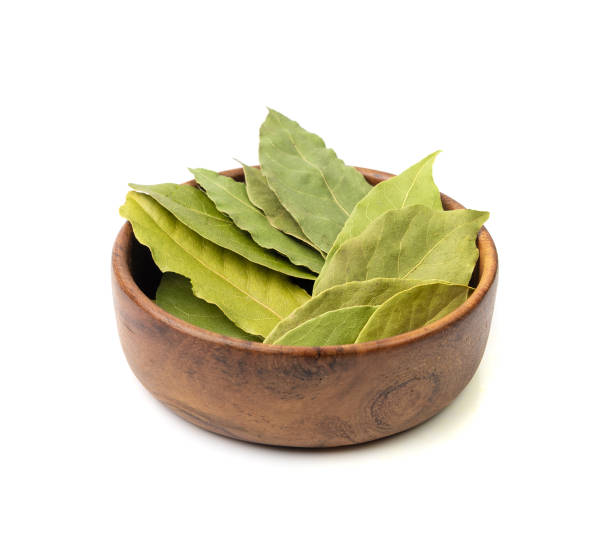istock Dry Bay Leaves, Laurel Leaf, Natural Spicy Bayleaf, Fragrant Ingredient, Aromatic Spice 1893015930