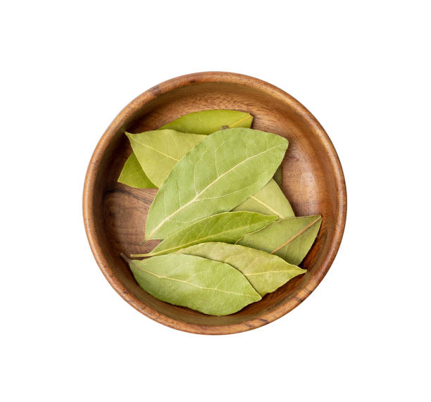 istock Dry Bay Leaves, Laurel Leaf, Natural Spicy Bayleaf, Fragrant Ingredient, Aromatic Spice 1893015936