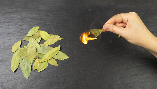 Dry Bay Leaves Burning, Laurel Leaf in Fire, Natural Spicy Bayleaf in Flame, Incense Fumigation, Aromatic Spice, Dry Bay Leaves Closeup