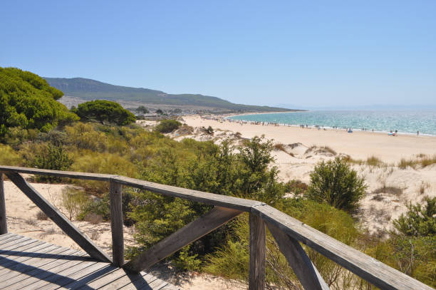 istock The beach in Bolonia 1893078926
