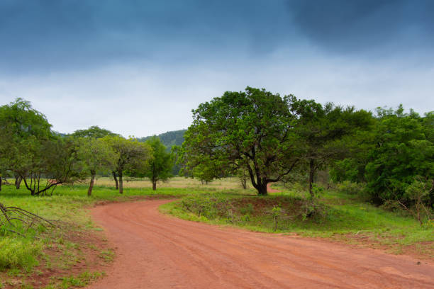 istock Safari route that crosses the African savannah 1893105657