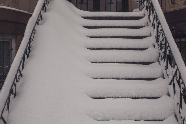 couverture d’hiver : marches enneigées à brooklyn - over burdened street city street house photos et images de collection