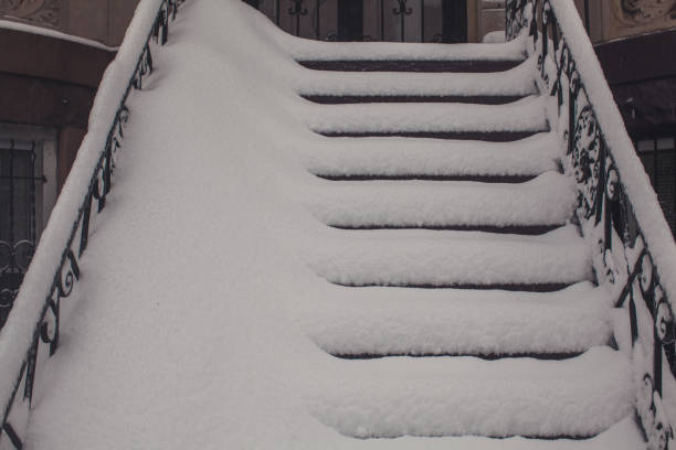 winter's blanket: gradini innevati a brooklyn - over burdened street city street house foto e immagini stock