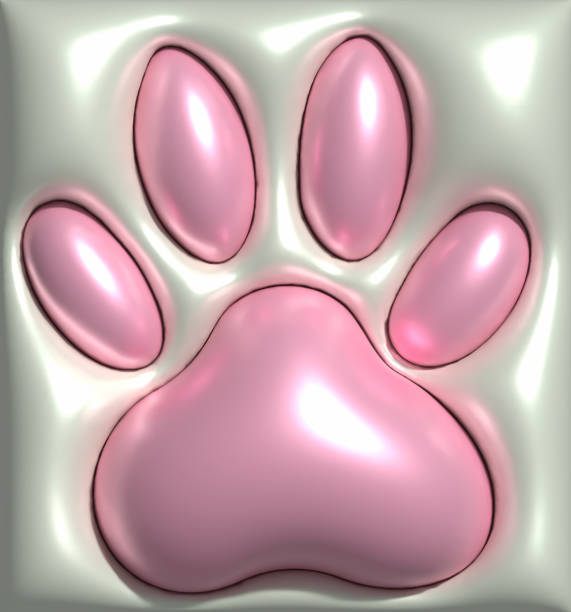 istock Animal paw print on a gray background, 3D rendering illustration 1893171462
