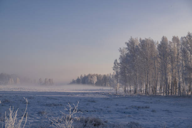 Foggy morning in the countryside. Winter landscape