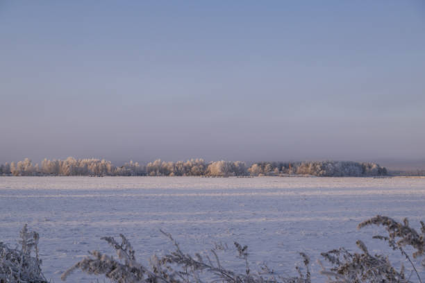 Finland - Kemi - landscape - polar night ( in this picture it is noonday)