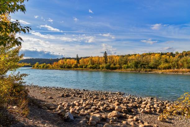 istock Panoramic View Of An Autumn Bow River 1893228752