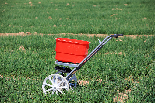 The cart that fertilizes the wheat is in the field