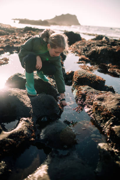 istock Child Exploring Tide Pools at Oregon State Coast 1893254745
