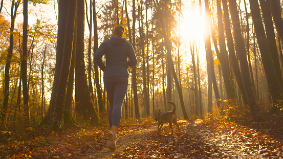 LENS FLARE: Fit young woman jogging through colorful autumn forest with her dog. She went on a morning run for fitness and endurance training. They are running along a leafy path in golden sunlight.