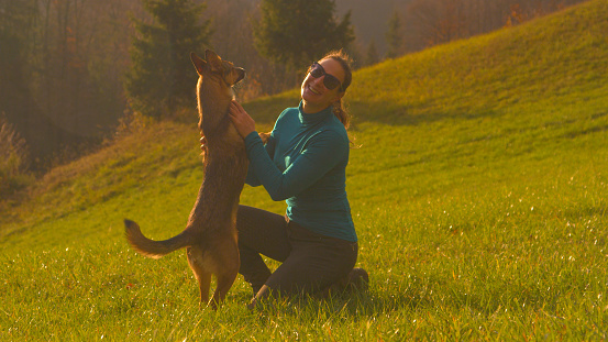 CLOSE UP: Smiling young woman hugs her adorable brown dog with a wagging tail. She is petting the doggy after successful recall training on a beautiful green meadow in golden autumn sunset light.