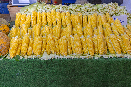 Corn on the Cob at Farmers Market Stall