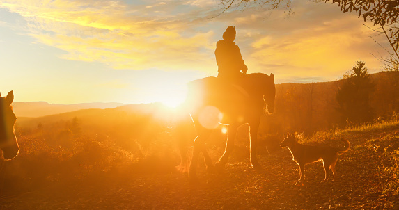 LENS FLARE, SILHOUETTE: Woman horseback riding through hilly countryside in fall with dog and a mare by side. Back view of a young lady on a picturesque horse ride in golden glowing autumn morning.