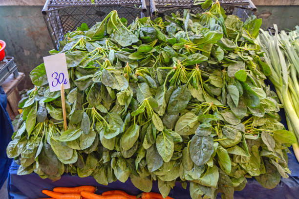 istock Large Pile of Spinach 1893283456