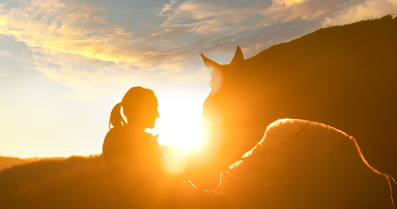 SILHOUETTE, LENS FLARE: Bonding moment between a lady and her horse at sunrise. After riding through the autumn countryside, they face each other and she gently caress her brown stallion on the nose.