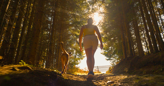 LENS FLARE, LOW ANGLE VIEW: Lady hiking with her dog through lush spruce forest. She went on a pleasant walk towards the alpine peak with her furry friend on a beautiful and warm sunny autumn day.