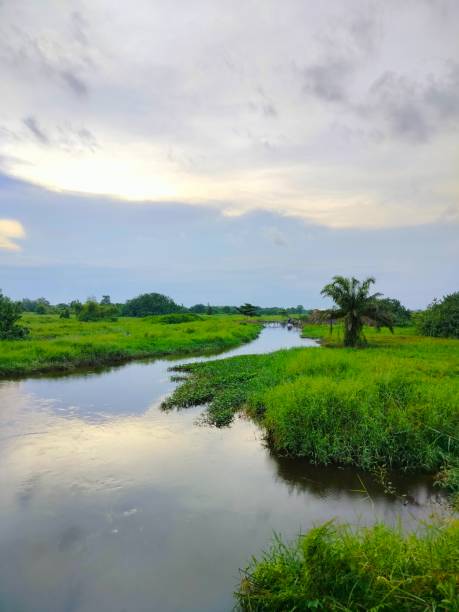 istock a serene river surrounded by lush green grass and trees 1893304564