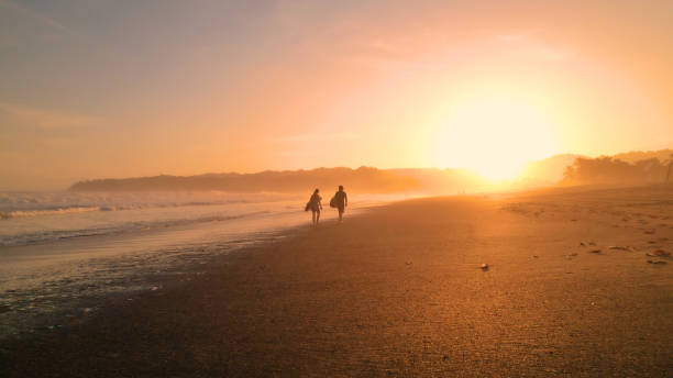 istock AERIAL: Two friends share their impressions of surfing while walking on beach 1893319503