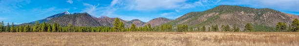 istock Buffalo Park and the Snow-Capped San Francisco Peaks 1893419593