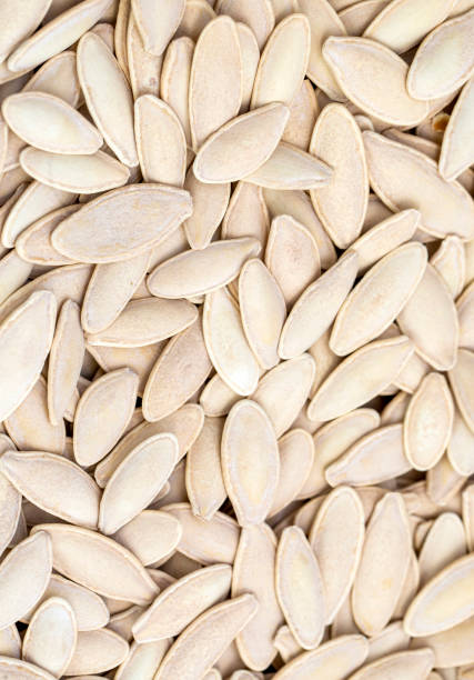 semillas de calabaza sobre el fondo blanco. (nombre turco; kabak cekirdegi) las semillas de calabaza tienen un valor nutricional muy alto - high nutritional value fotografías e imágenes de stock