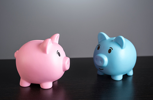Two piggy banks are friends. Savings of love partners in relationship. Starting a life together and a shared budget for spending. Resolving financial issues when living together. Credit score.