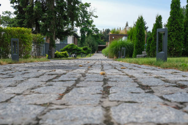 alley, stone path in a country residence. a place to relax. - formal garden tropical climate park plant imagens e fotografias de stock