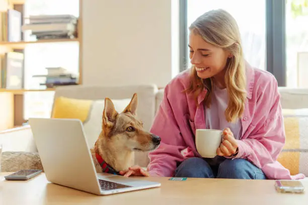 Photo of Smiling beautiful woman using laptop holding cup of coffee working in modern cafe with cute dog