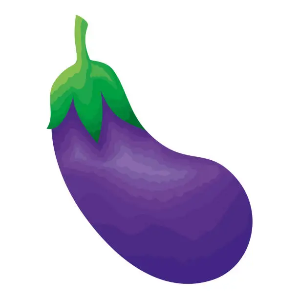 Vector illustration of fresh eggplant vegetable