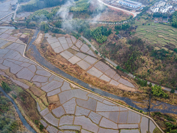 istock Rural striped farmland and land 1893542332