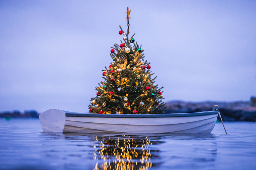 A Christmas Tree sits shining in the harbor