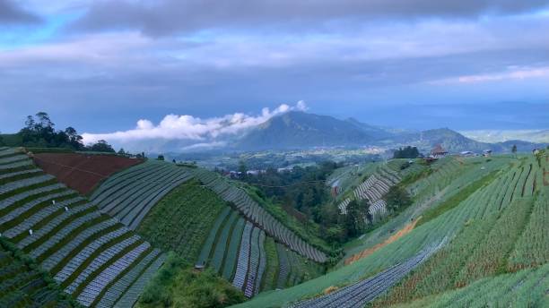 istock view of terraces under the mountain in Magelang, Central Java, Indonesia 1893719515