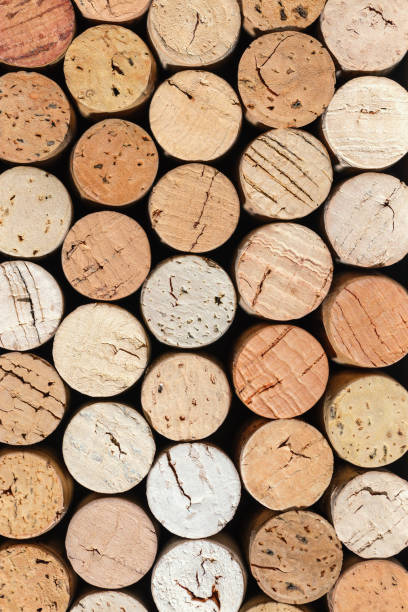 istock Wine cork background from white wine, natural texture used bottle stoppers top view. Closeup wooden beige corks. Natural textured stoppers colored wallpaper. Bright background wine corks 1893720035