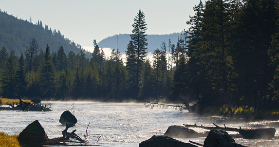 Tranquil scene in Yellowstone National Park on a Fall morning, looking across the steaming surface of the Yellowstone River.