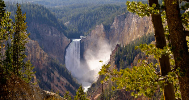 Lower Yellowstone Falls from Artist Point in Yellowstone National Park, Wyoming.