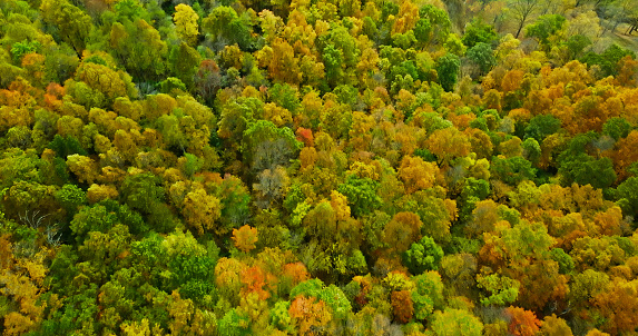 Aerial view of lush landscape near Orlando, a small town in West Virginia, on an overcast day in Fall.