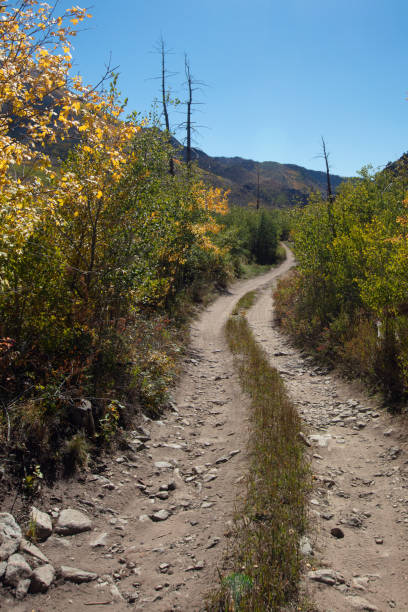 sinuosa carretera con tracción en las cuatro ruedas [camino primitivo del paso del médano] a través de la cordillera sangre de cristo de las montañas rocosas en colorado, estados unidos - alamosa fotografías e imágenes de stock