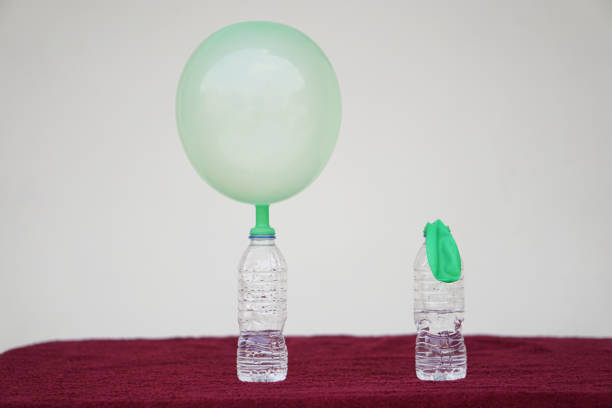 Science experiment , inflated balloons and flat balloon on top of transparent test bottles. Concept, science experiment about reaction of chemical substance.