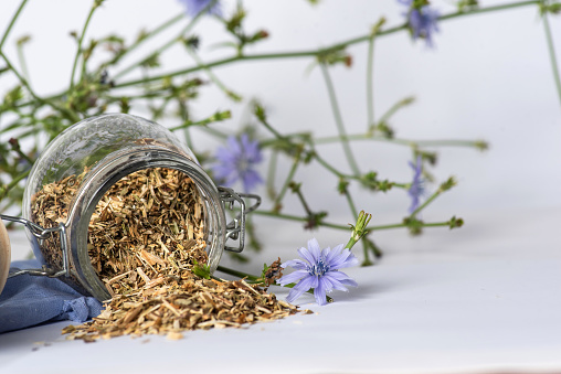 Chicory root in a glass jar and blue wild flowers on white background. Chicory root is used as a substitute for coffee, and tea can also be prepared from it