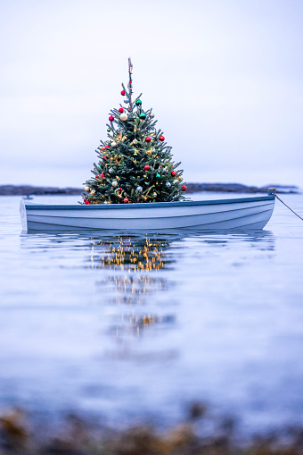 A Christmas Tree sits shining in the harbor