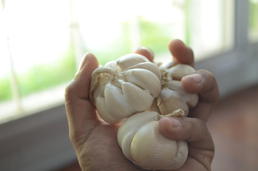 Indian white garlic