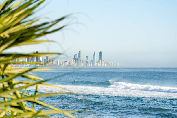 istock Gold Coast Cityscape 1893887691