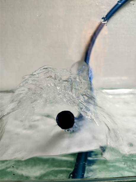 istock clean water from the hose 1893898437