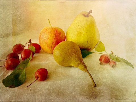 My original horizontal photo of green leaves and red crabapples, two pears and an apple in a group on a cream coloured linen cloth has been transformed using the Mextures app to give an old world, vintage feel to the image.