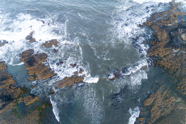 istock rocky coastline seen from a drone, top view 1893986000