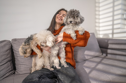Smiling young woman hugging her three cute little dogs on couch at home