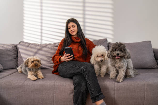 istock Young woman using phone at home 1894069788